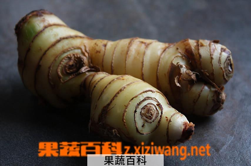 果蔬百科高良姜图片 高良姜的功效与作用