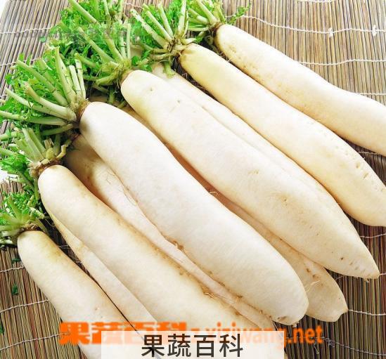 果蔬百科萝卜的功效与作用