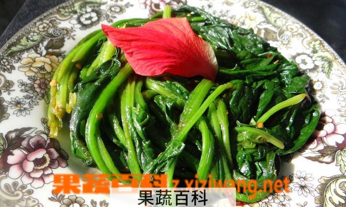 果蔬百科菠菜的功效与作用有哪些 食用菠菜的好处