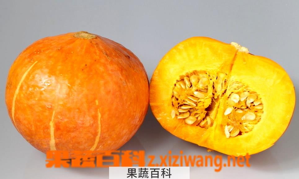 果蔬百科南瓜的功效与作用