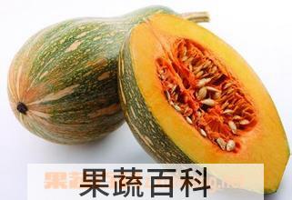 果蔬百科倭瓜的功效与作用