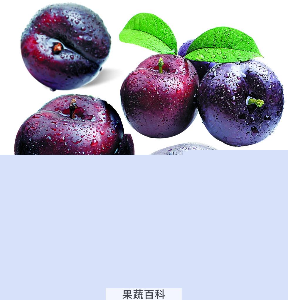 果蔬百科乌梅