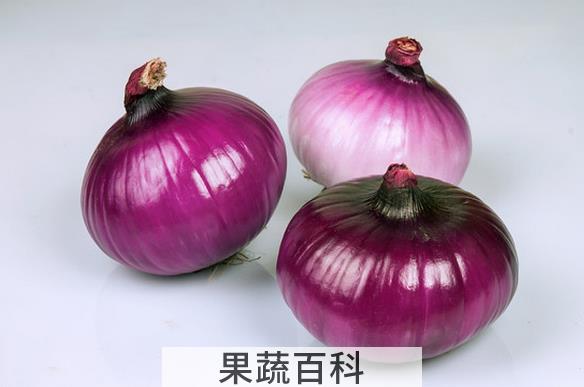 果蔬百科洋葱不能和什么一起吃
