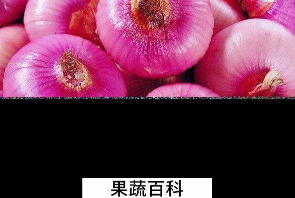 果蔬百科吃洋葱的五大好处