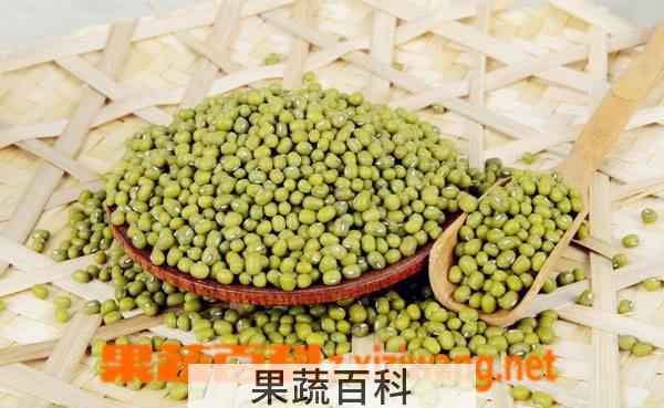 果蔬百科绿豆的营养价值有哪些 绿豆怎么吃营养
