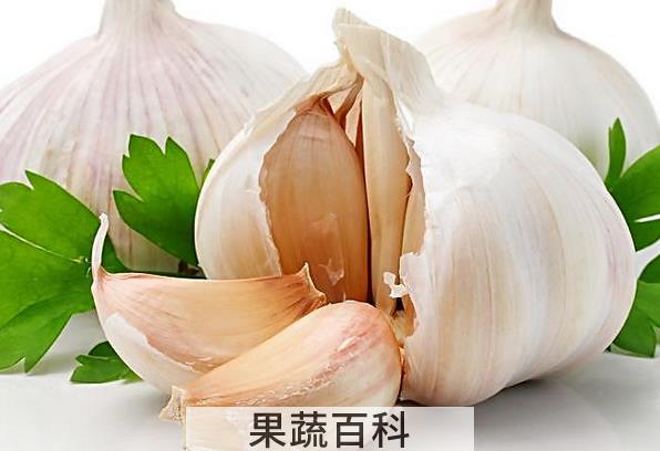 果蔬百科吃大蒜怎么去除口腔异味