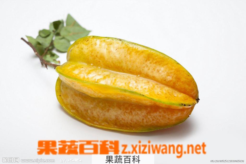 果蔬百科杨桃