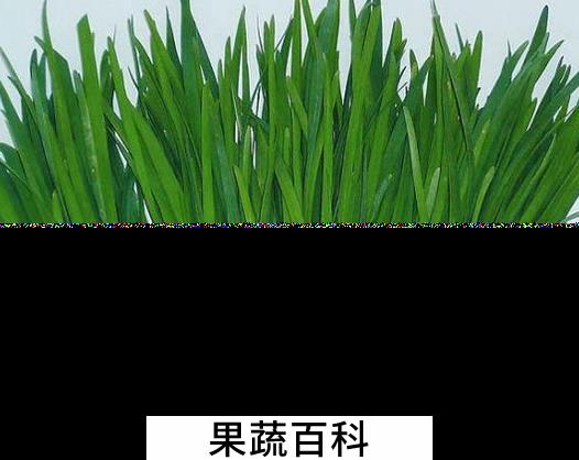 果蔬百科韭菜的药用功效有哪些