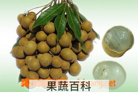 果蔬百科龙眼