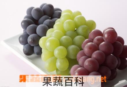 果蔬百科葡萄,葡萄酒
