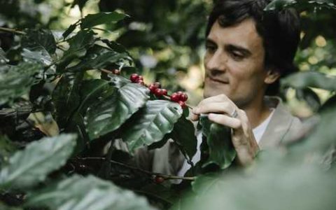 为什么要拿槟榔当礼物送