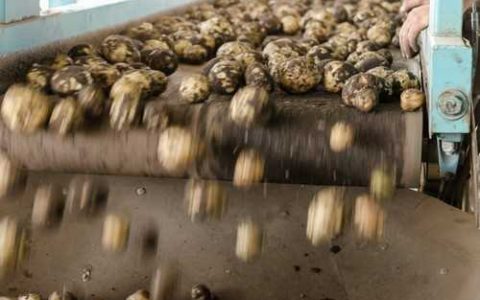 为什么车厘子比樱桃贵很多1 为什么车厘子比樱桃贵