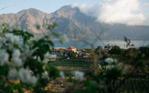 为确保生产安全防治蔬菜病虫害有何妙招和方法 如何防治蔬菜的病虫害