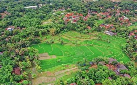 买回来的蟹爪兰该如何养护和浇水 买回来的蟹爪兰该如何养护