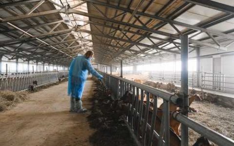 什么是涂层尿素