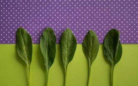 什么叫化学肥料 化学肥料是化肥吗