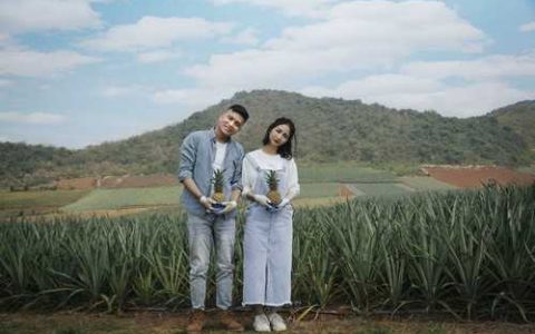 传奇将军西瓜品种好不好