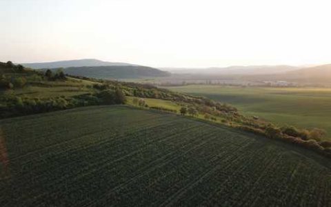 全美2k西瓜种植技术要点