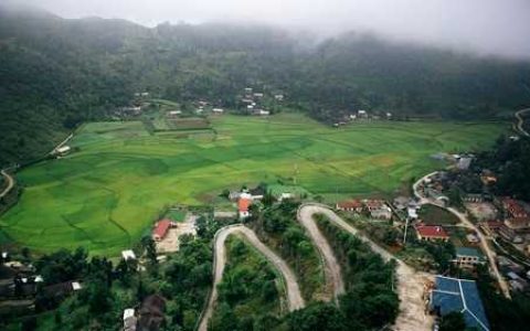 光辉苹果品种介绍 果光苹果产地哪里好