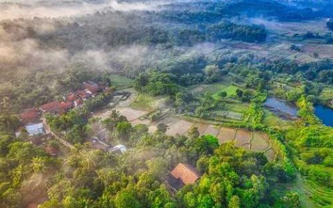 作物缺素诊断方法 作物缺素症的诊断第一步