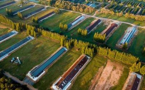 你是否了解百合灰霉病的情况 你是否了解百合灰霉病的原因