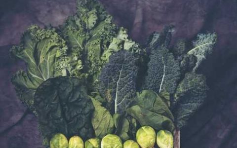 关于沙土种植方法的论文 沙土 种植