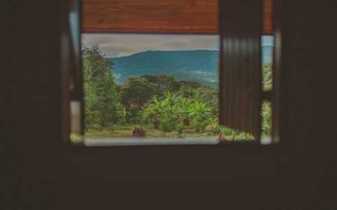 使用农药的注意事项 夏季喷洒农药时,应当预防