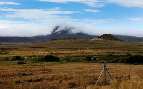 使用哪些除草剂后下茬不能种植马铃薯 马铃薯用什么除草剂