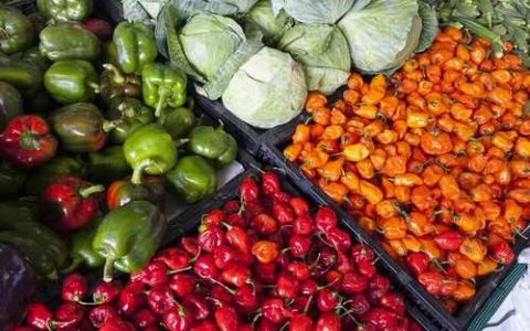 全水溶性菌肥的作用有哪些