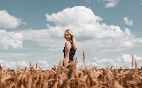 北方佛手瓜的种植时间和种植要点 佛手瓜的种植技术和管理