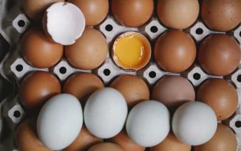 北方板栗早熟品种有哪些 板栗品种中熟板栗