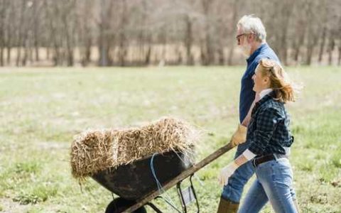 冬暖式大棚的建造方法 怎样建冬暖式大棚比较好