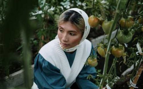 农民在使用包衣种子时应注意啥