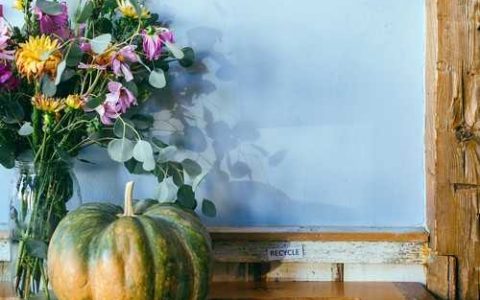 华晶七号西瓜品种好不好