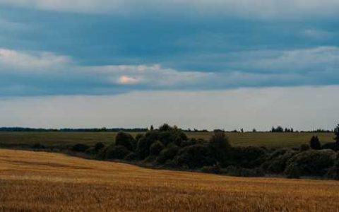 农用喷雾器使用过后该怎样清洗