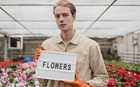 兰花全部用松树皮养几天浇一次水 松树皮养兰花如何浇水