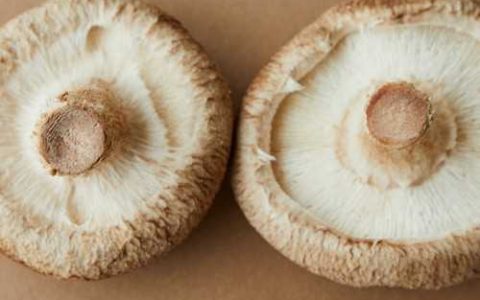 农药增效渗透剂有什么作用