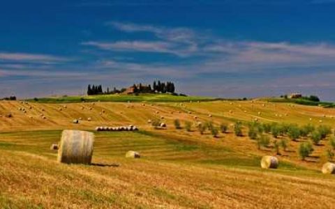 农药施用技术 农药施药方式