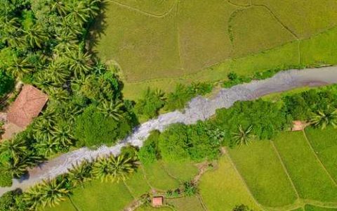冬季大棚甜椒怎样可以预防低温病虫害 冬季大棚甜椒怎样可以预防低温呢