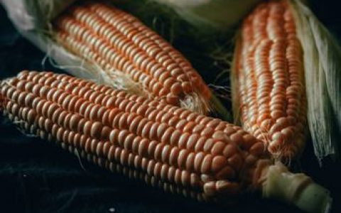 炸鸡亦尖的做法 怎么做好吃