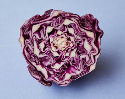 二味猪脑汤的做法 怎么做好吃