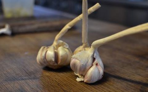 七彩蚝香冻豆腐的做法 怎么做好吃