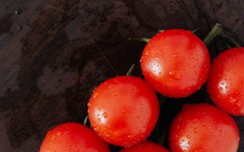 包心菜苹果汁的做法 怎么做好吃