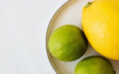 卤汁素鸡的做法 怎么做好吃